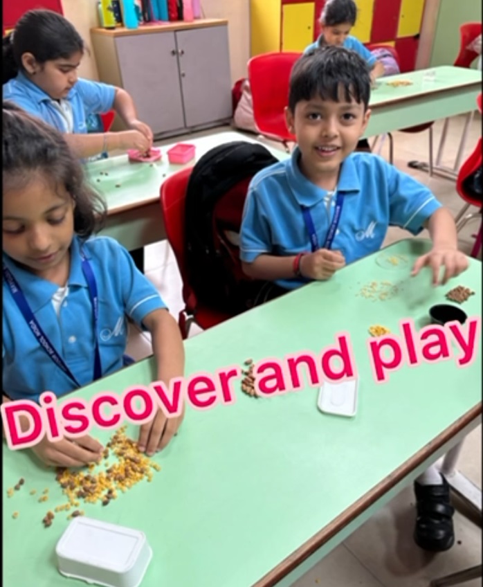 Engaging Young Minds: Stage 3 Students Explore Science Through Interactive Sorting Activities